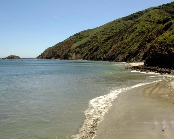 A beautiful view of Cambria.