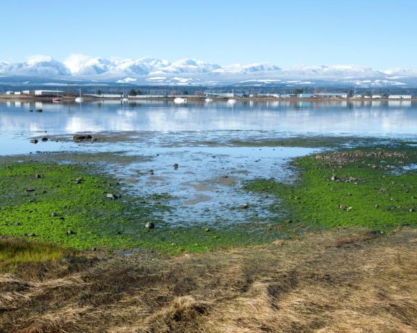 A beautiful view of Courtenay.