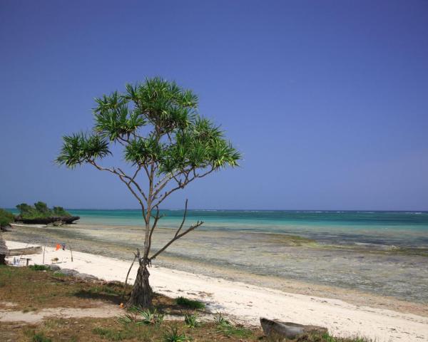 Uma bela vista de Mtwapa