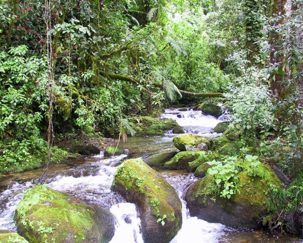 A beautiful view of San Gerardo de Dota.