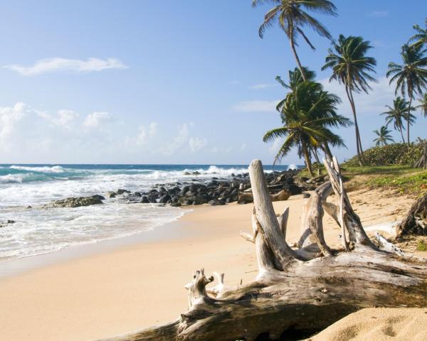 A beautiful view of Corn Island.