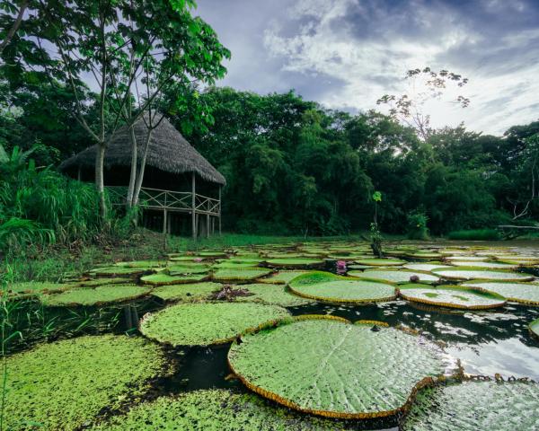 Permandangan indah di Nauta