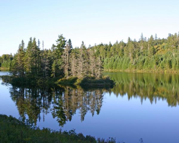 Linna Campbellton kaunis vaade