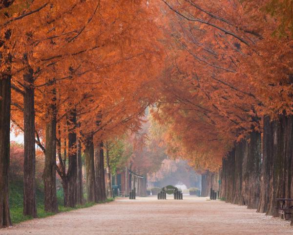 Vedere frumoasă la Damyang