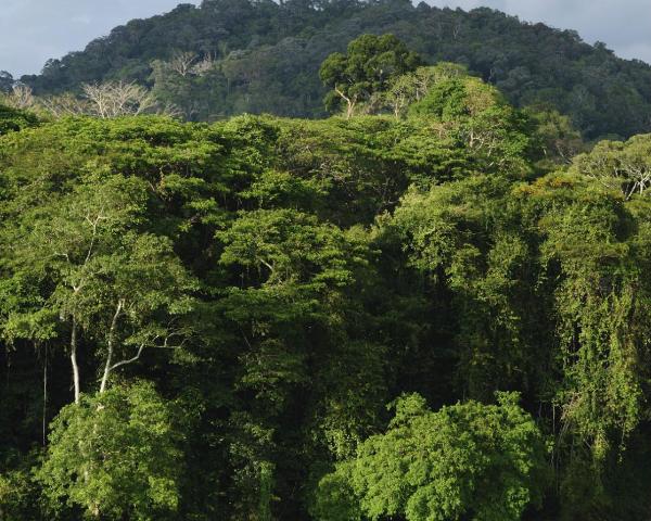 Een mooi uitzicht van Kuala Tahan