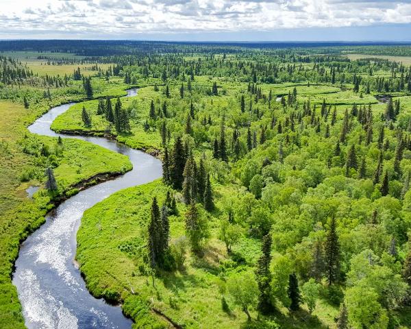 Гарний краєвид міста King Salmon