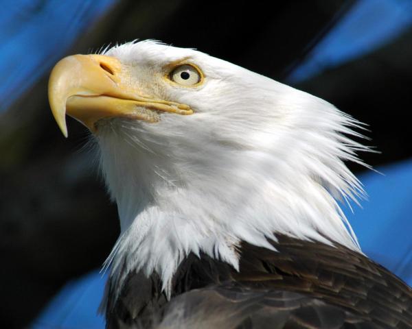 Гарний краєвид міста Milford