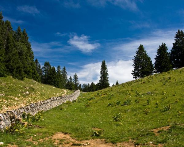 Buchs şehrinden güzel bir manzara