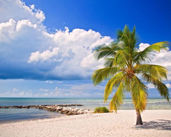 Ein schöner Blick auf Stock Island