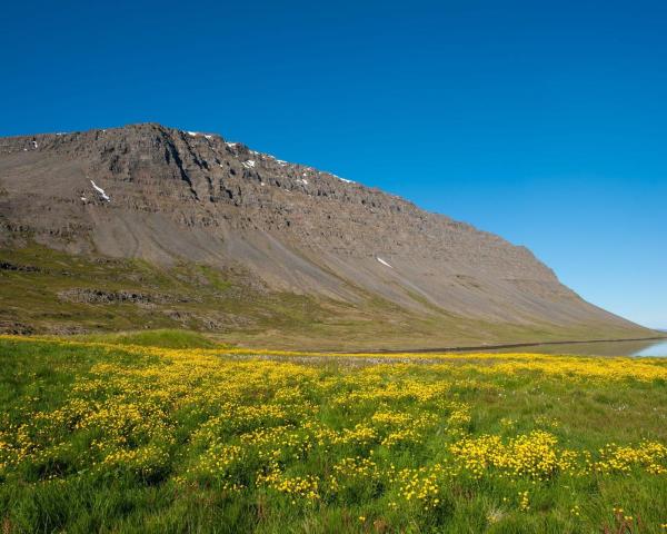 Vakker utsikt over Patreksfjordhur