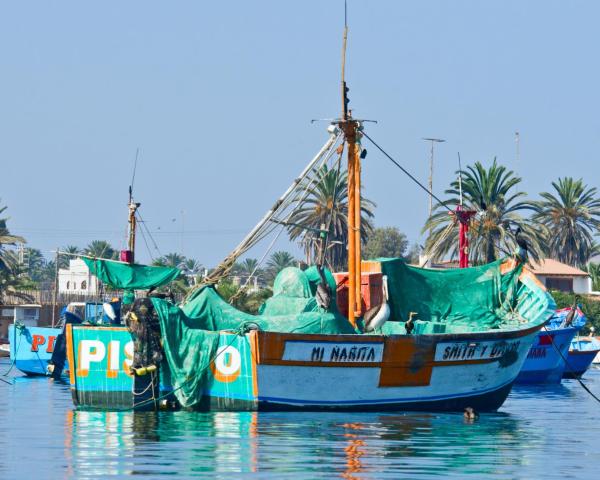 Predivan pogled na grad 'Paracas' 