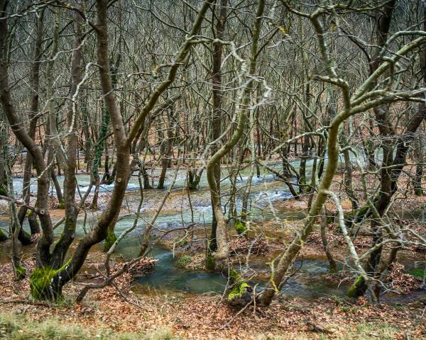 Čudovit pogled na mesto Kato Zachlorou