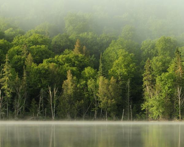 A beautiful view of Lagow.