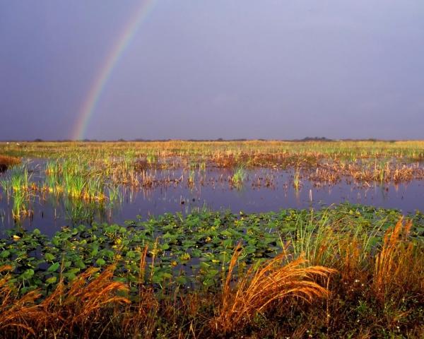 Vedere frumoasă la Coral Springs