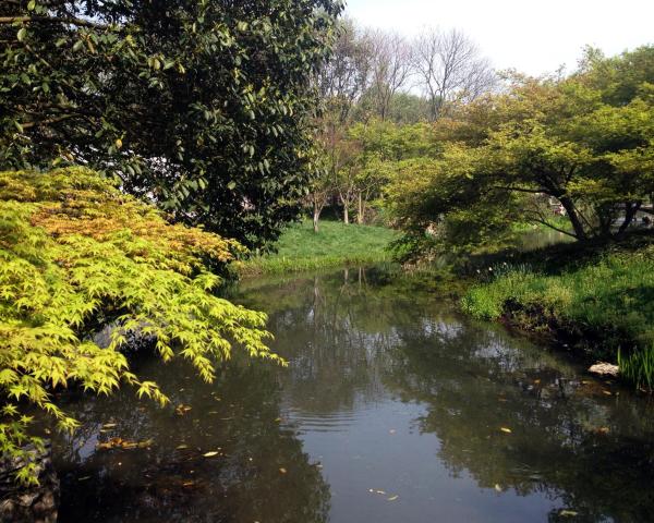 A beautiful view of Chen chiang.