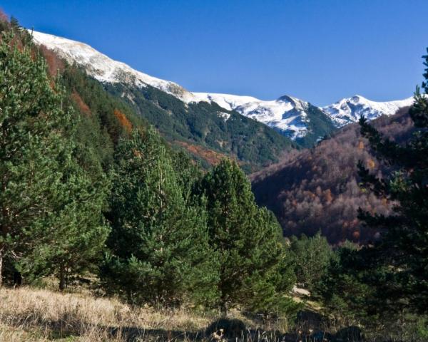 A beautiful view of Roncesvalles