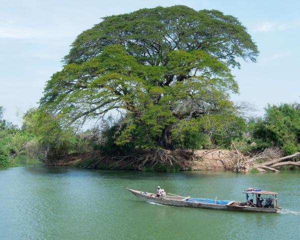 A beautiful view of Ban Det.