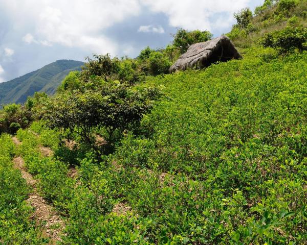 A beautiful view of Corioco