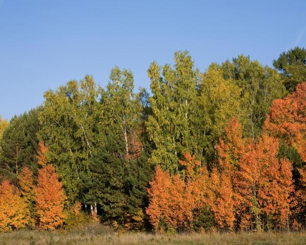 A beautiful view of Calovo.