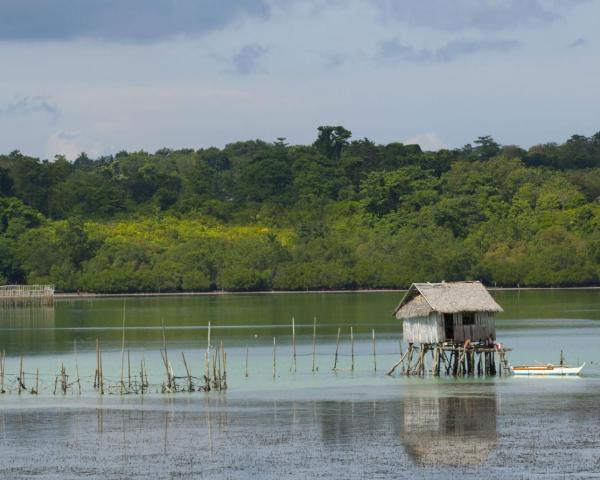 Prelep pogled na grad Tagbilaran