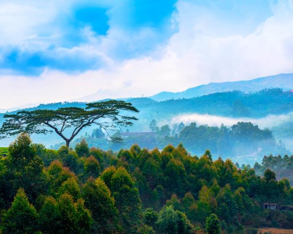 A beautiful view of Vagamon.