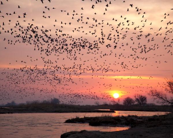 Vedere frumoasă la Kearney