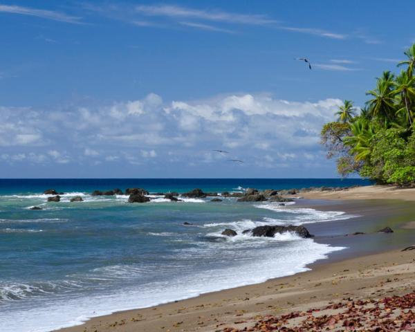 Красива гледка от Playa Flamingo