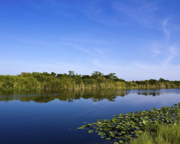 Predivan pogled na grad 'Plantation' 