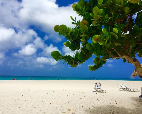 A beautiful view of Eagle Beach