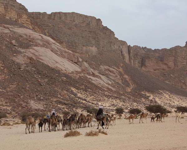 London → Tamanrasset