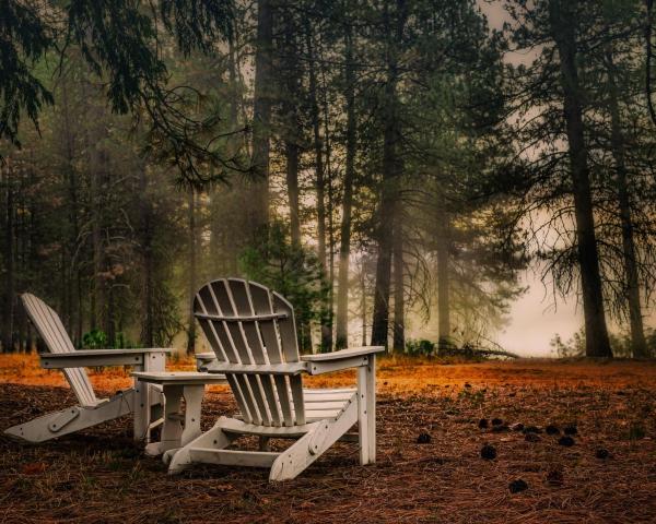 A beautiful view of Wawona.