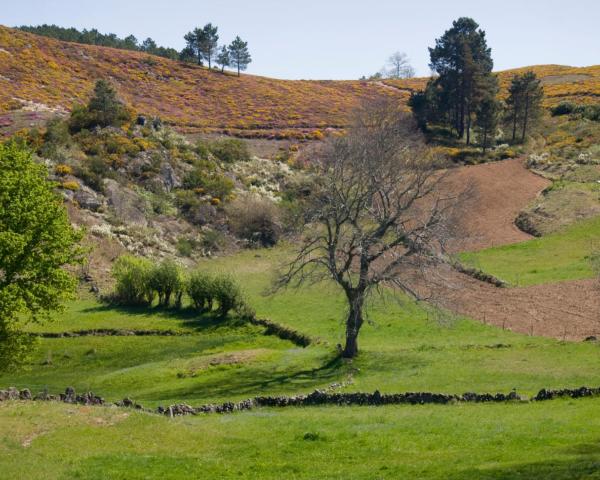 A beautiful view of Macedo de Cavaleiros.