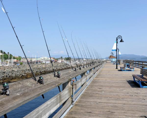 A beautiful view of Campbell River