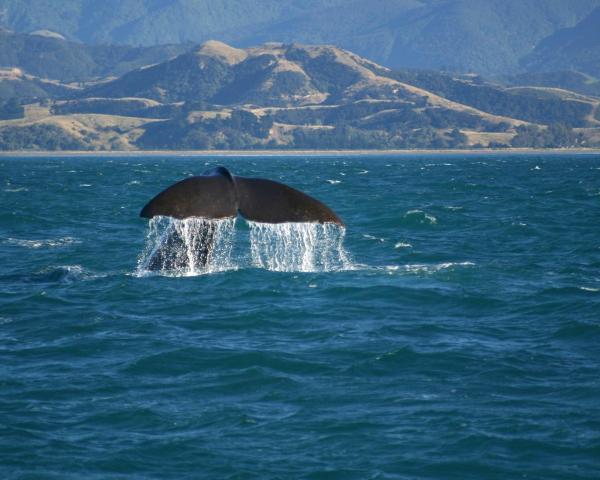 Permandangan indah di Kaikoura