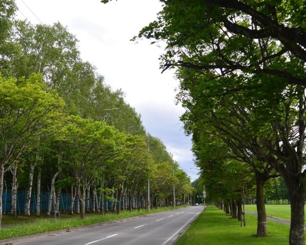 Piękny widok miasta Obibiro