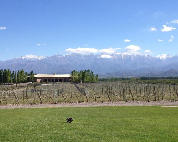 A beautiful view of Chacras de Coria