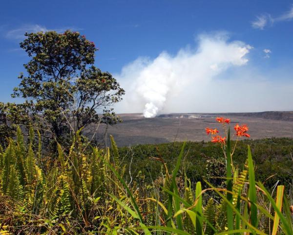 A beautiful view of Volcano