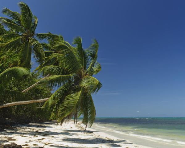 Unes vistes boniques de Grand'Anse Praslin