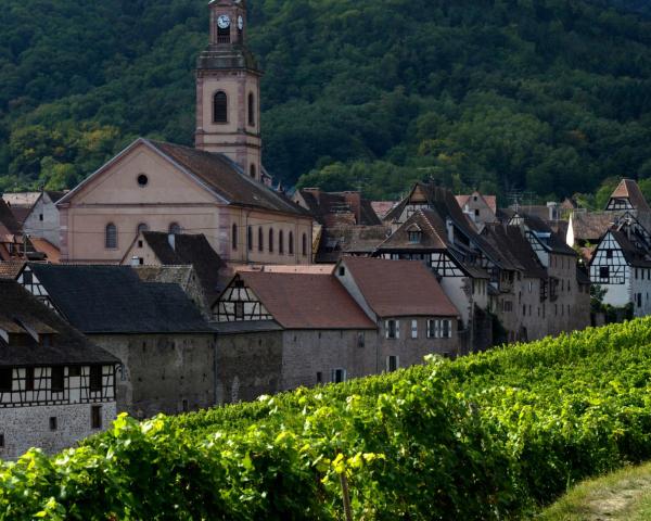 Una bonita vista de Riquewihr