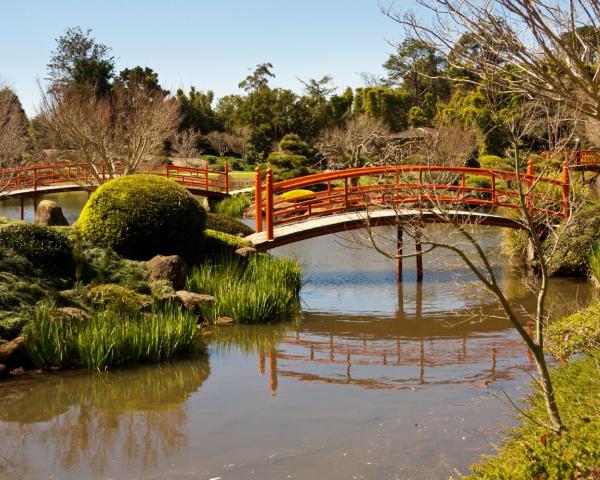 A beautiful view of Toowoomba.