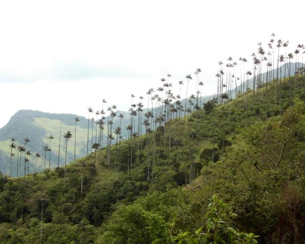 Una bella vista de Montenegro