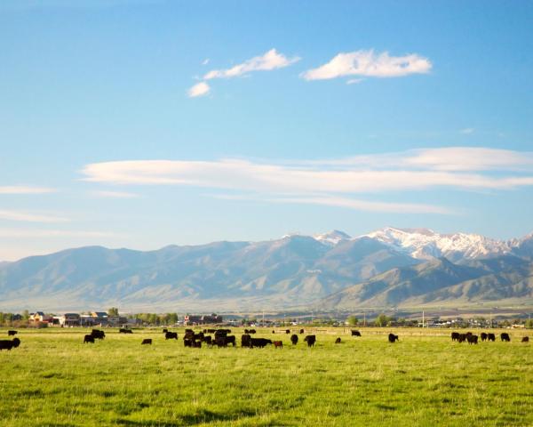 A beautiful view of Bozeman.