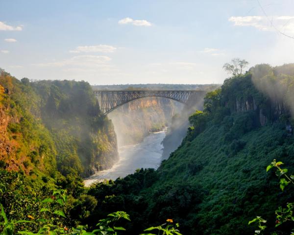 Красивый вид города Victoria Falls