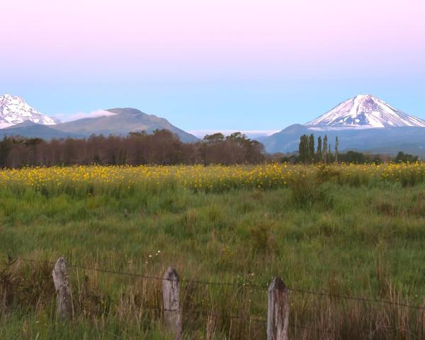 A beautiful view of Malalcahuello.