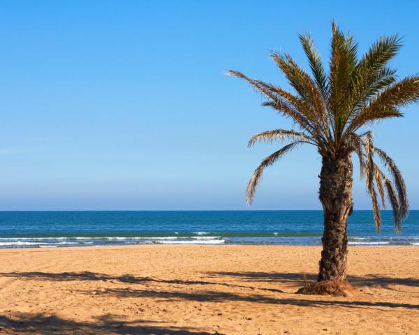 A beautiful view of Canet de Berenguer