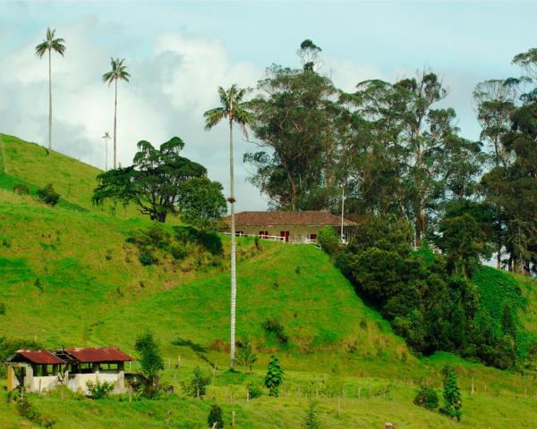 Una bella vista de Quimbaya