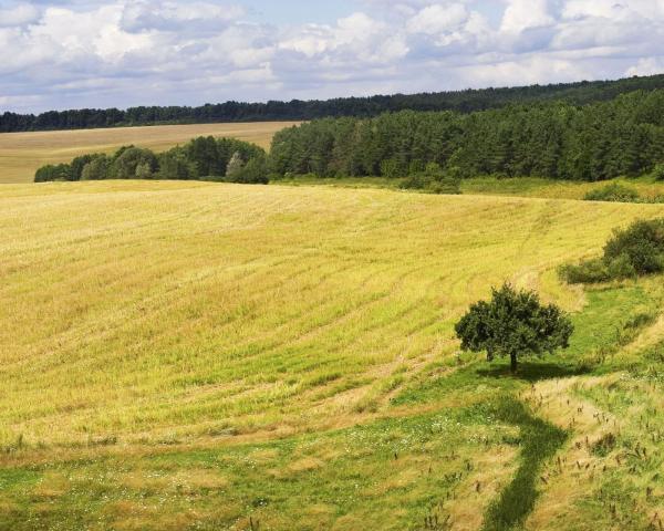 A beautiful view of Vyskov