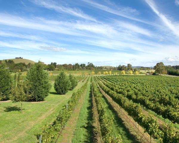 Una bonita vista de Mudgee