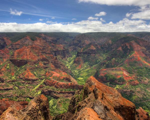 A beautiful view of Waimea.