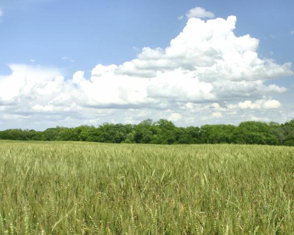 Una bellissima vista di Thackerville